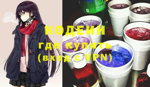 амф Каменка