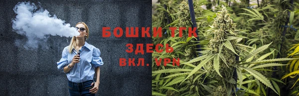 прущие крисы Каменногорск