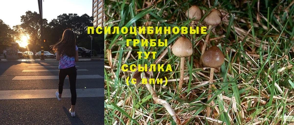 прущие крисы Каменногорск