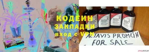 амф Каменка