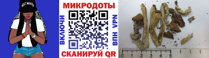 Купить где  Михайловка  Галлюциногенные грибы Cubensis 
